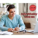 M4 - Indywidualny kurs online języka niderlandzkiego - intensywny "Luxe" 